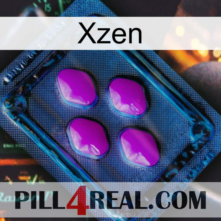 Xzen 04
